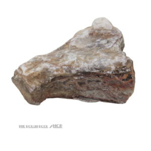 Raw Crazy Lace Agate Rough 014